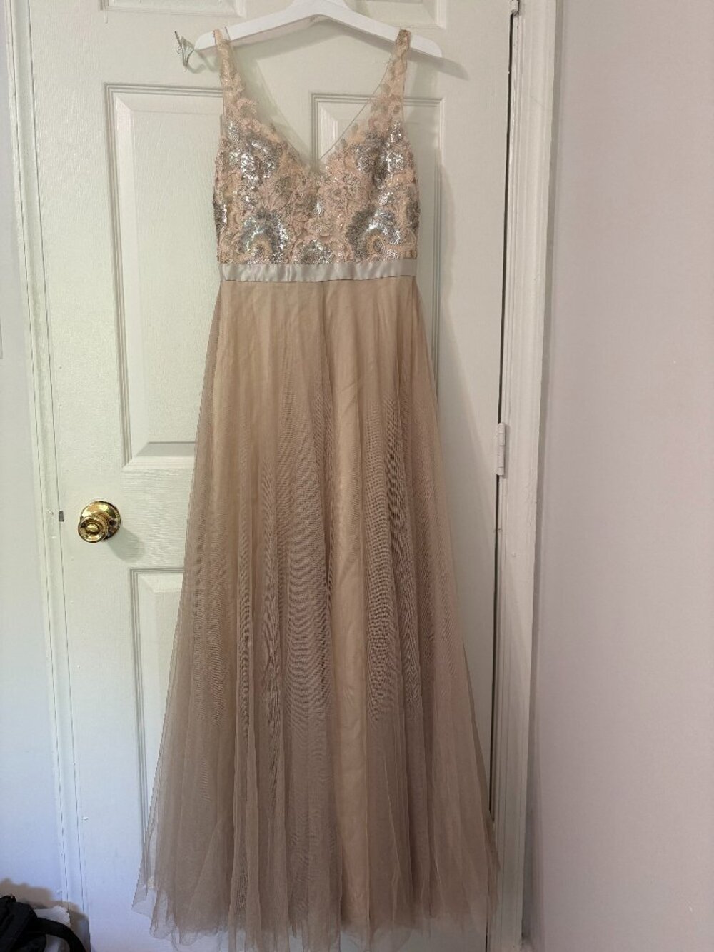 Watters & Watters A-Line Sequin Blush Dress